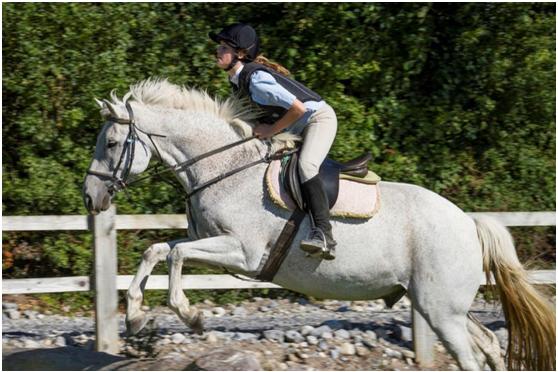 爱尔兰滑雪胜地,新西兰户外运动天堂