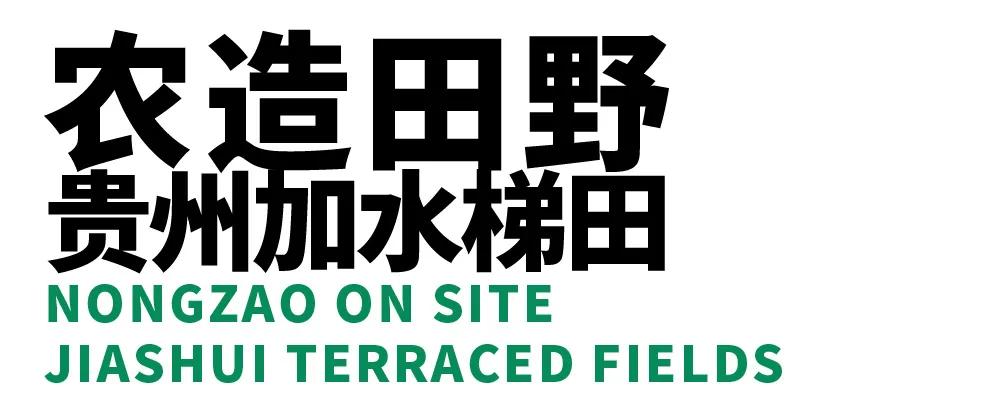 农造田野丨总有一根神经通往乡野|月亮山百里梯田
