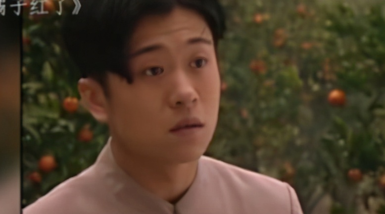 林雨申1岁到40岁荧幕颜值变化,林雨申靠李少红翻红