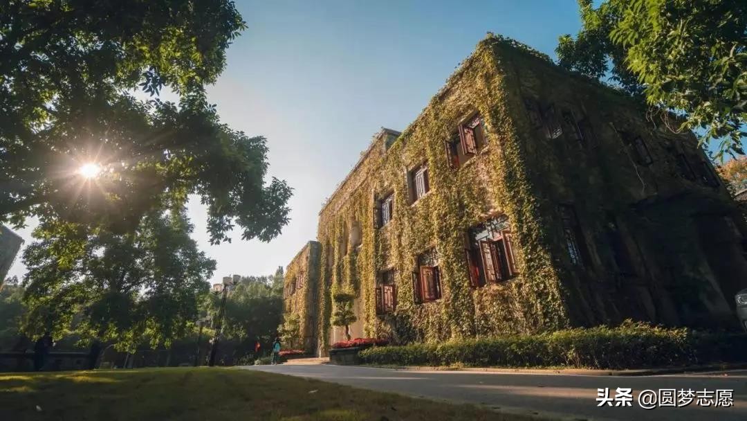 重庆西南大学占全国的名校第几名,重庆西南区域比较厉害的大学