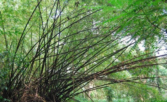 科特迪瓦哪里的海边好玩,科特迪瓦象牙海岸