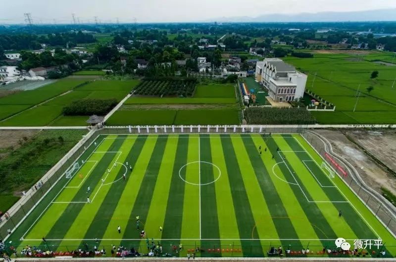 建在沙漠里的足球场,天然草坪足球场在哪里