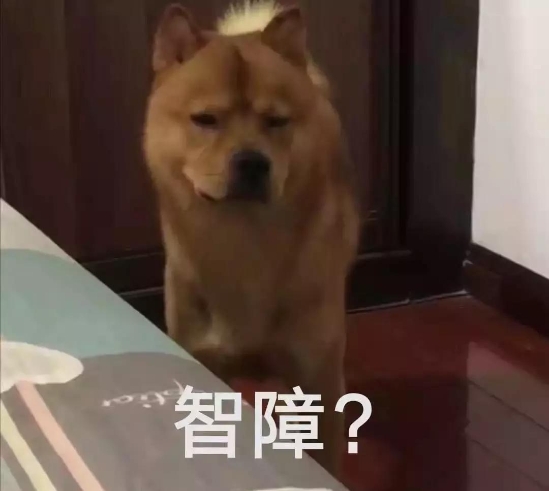 狗狗这么可爱，怎么舍得和它吵架呢？除非忍不住