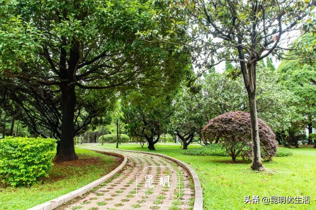 我眼中的云南财经大学,母校云南财经大学