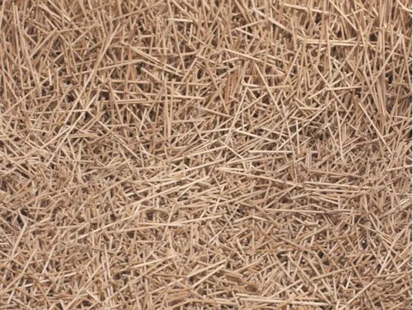 AIM优选|入围LOEWE罗意威基金会工艺奖的中国手艺人