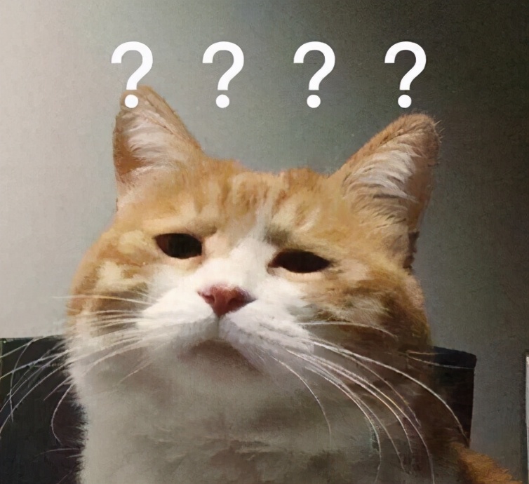 旅游达人探酒店怎么样,旅游测评达人