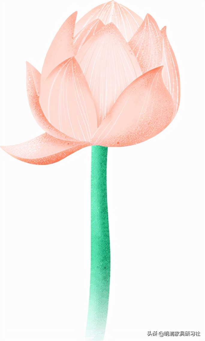 莲雾谐音梗,爱莲谐音