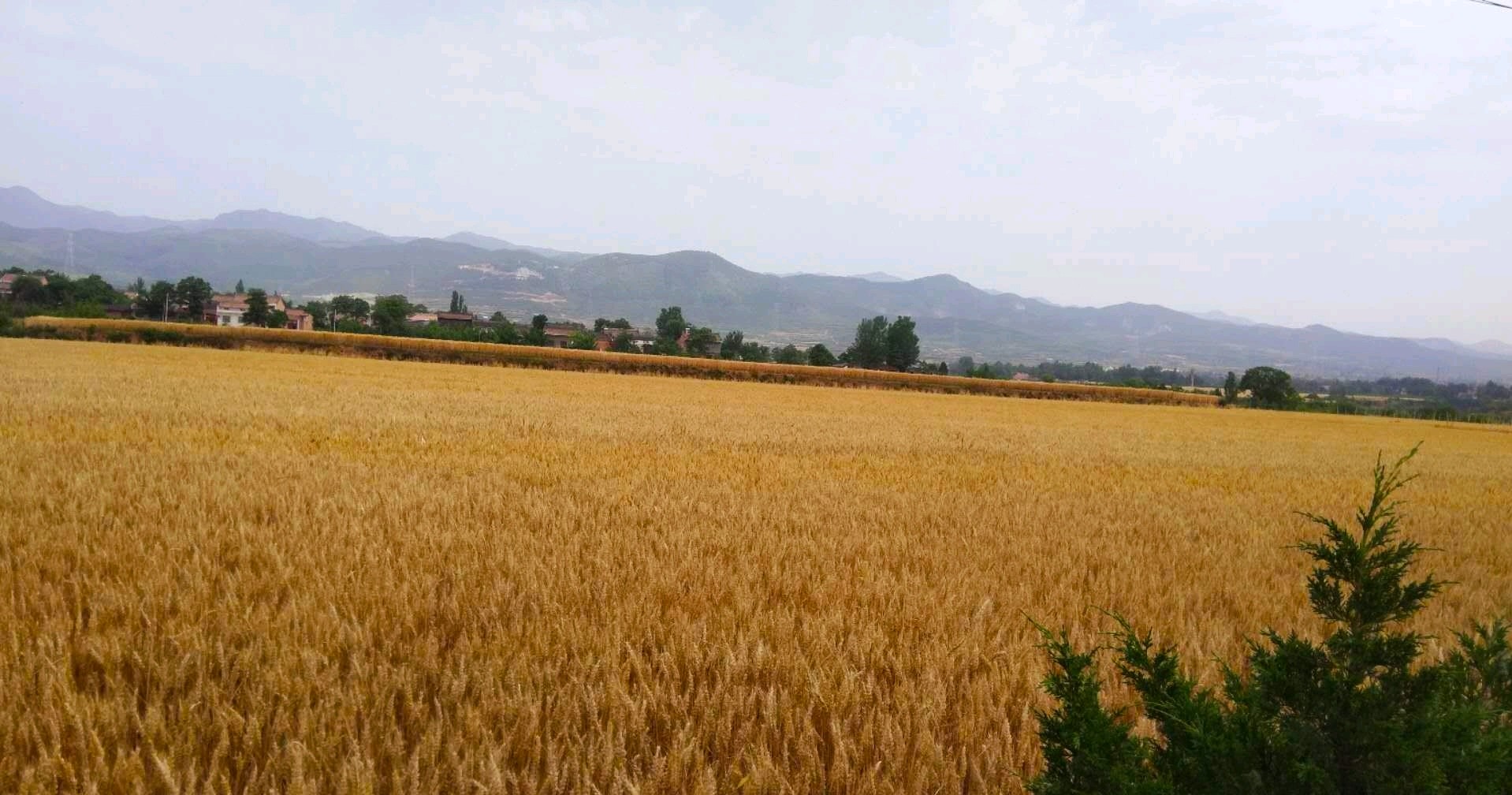 咸阳纳凉避暑好去处免费,西安咸阳避暑纳凉好去处