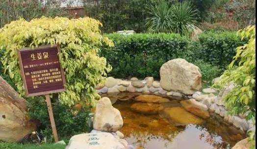 惠州怡情谷温泉一日三餐,惠州怡情谷温泉是天然温泉吗