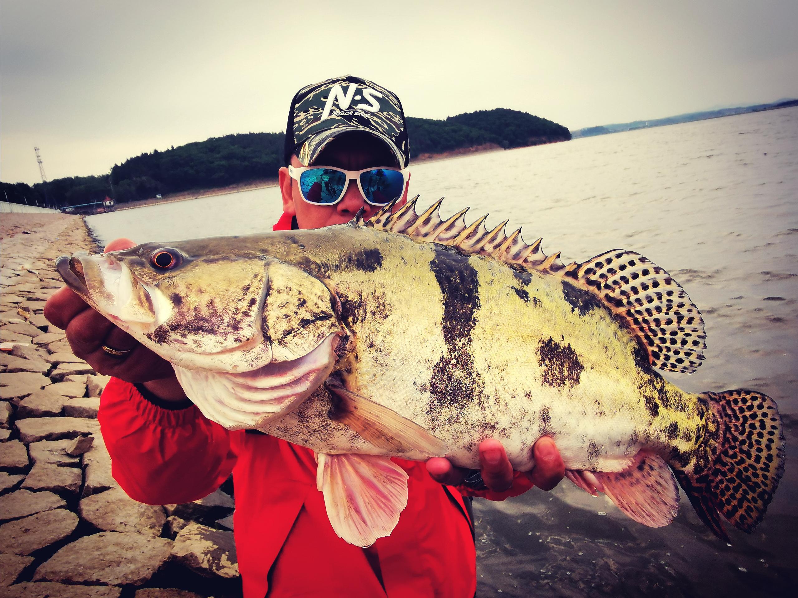 第一次钓这么大的鳜鱼,钓这么多鱼回家该不该挨骂了