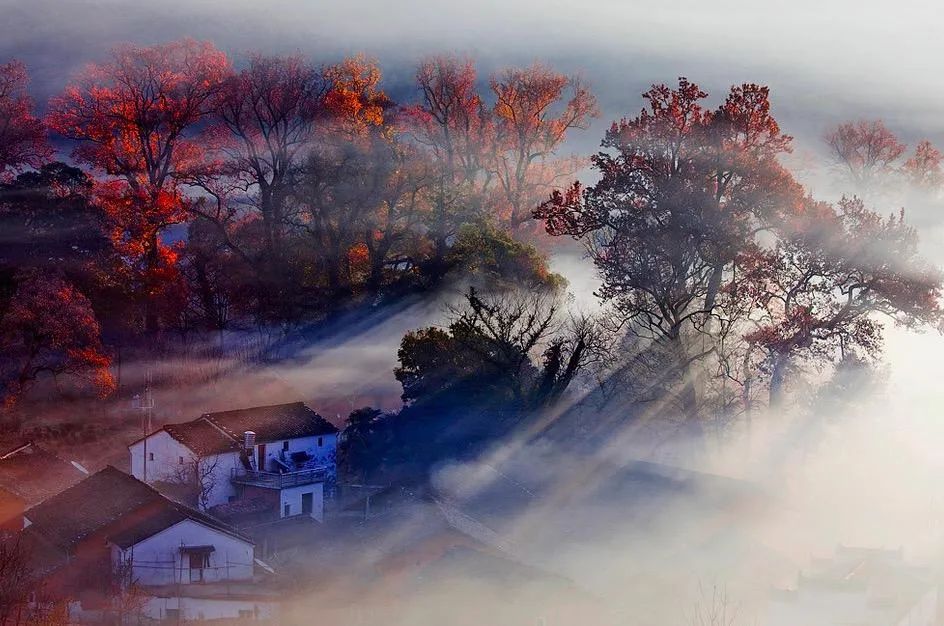 婺源人游玩,婺源本地人眼里婺源的游玩攻略