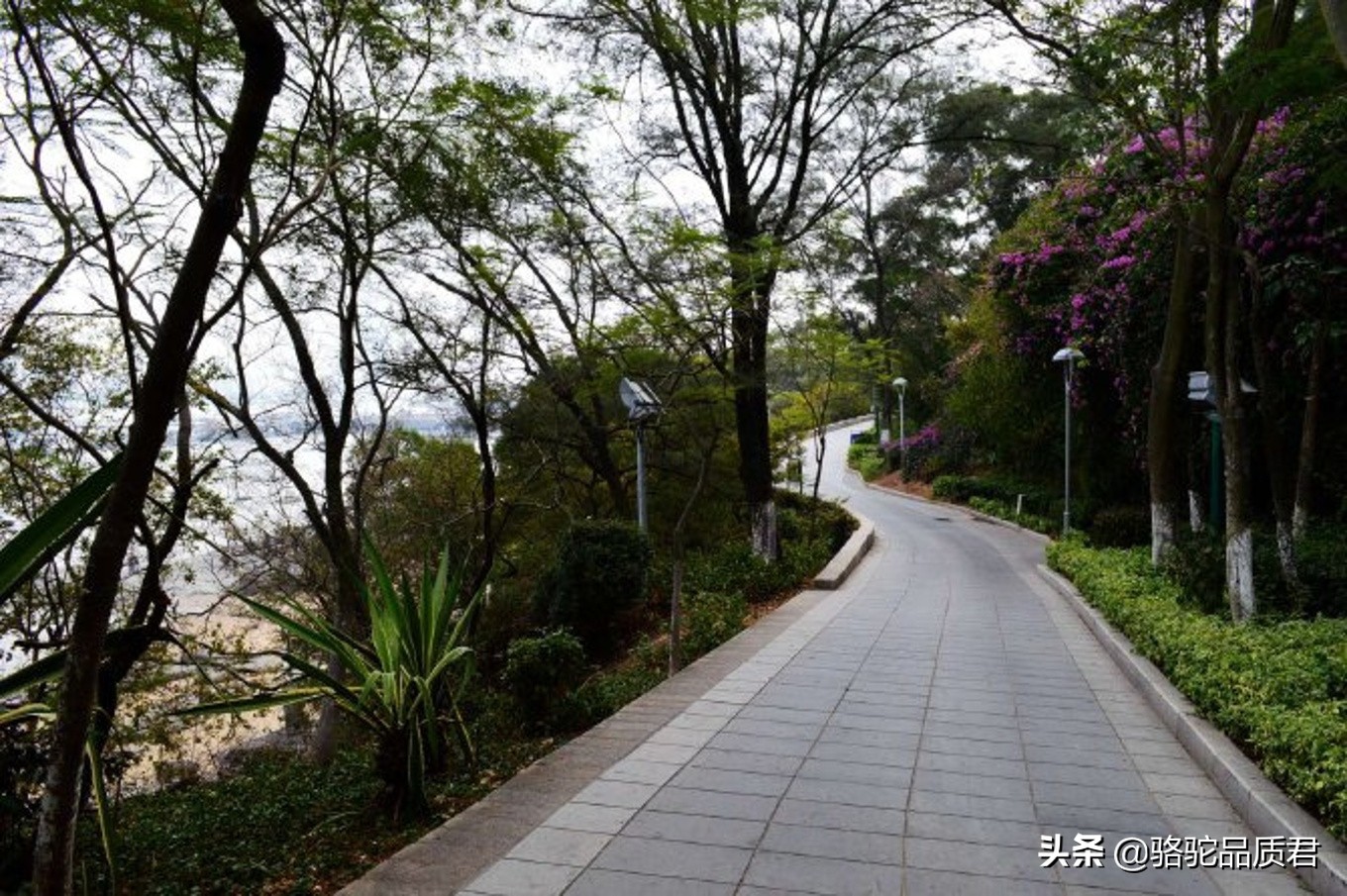 厦门海边之旅,厦门小众旅游体验