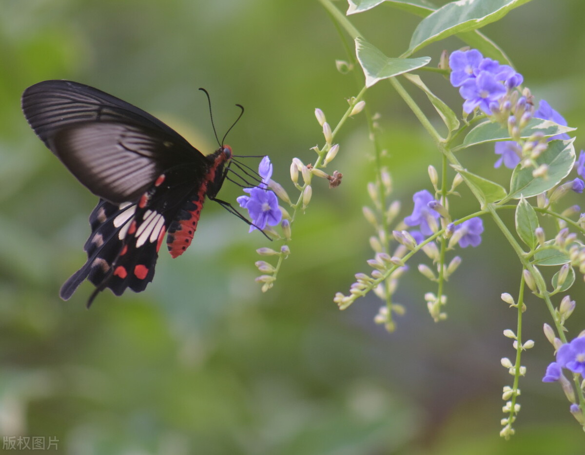 选对方向比努力做事更重要句子,选对方向比努力做事重要经典语录