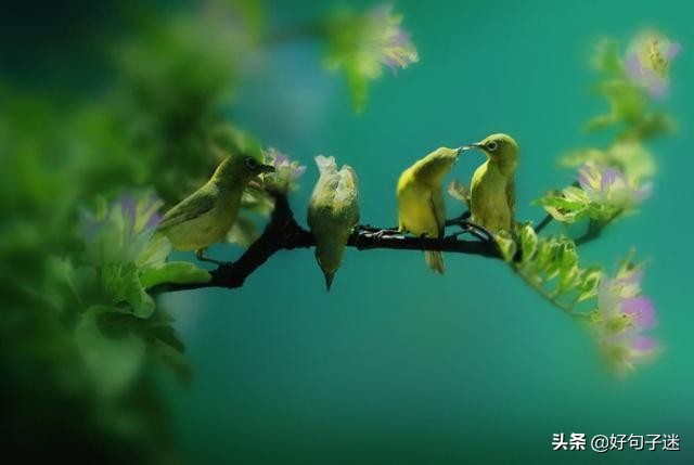 人生感悟英文短句子,句句入骨,看完你会明白很多!