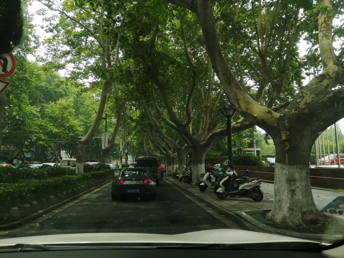 北回归线丨第二十四天（20200722）：南京