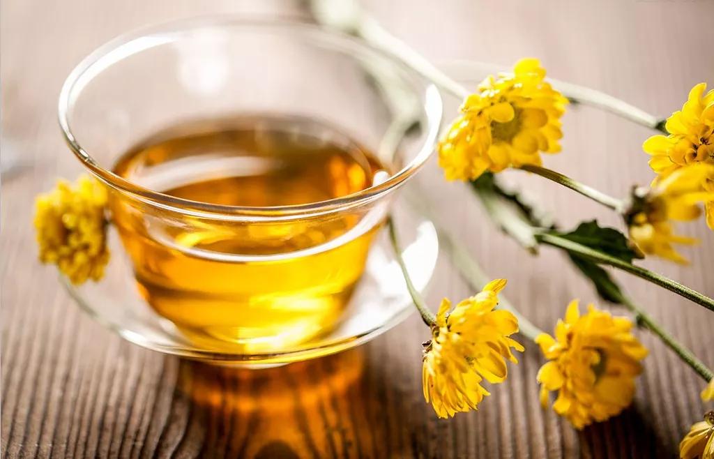 蛋白质粉的科普知识,植物蛋白的蛋白粉是什么样的