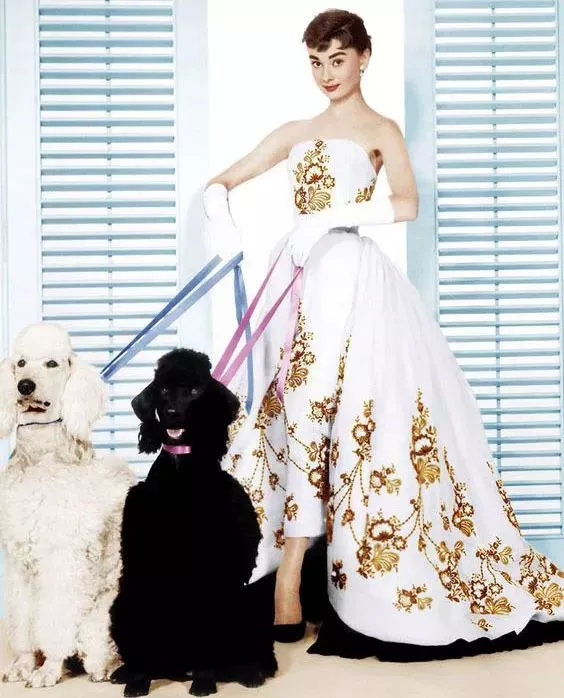 羽绒服十大品牌排行榜女装,法国女装十大奢侈品牌