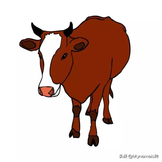 十二属相在今年每月的吉凶,十二属相各自都有什么缺人点