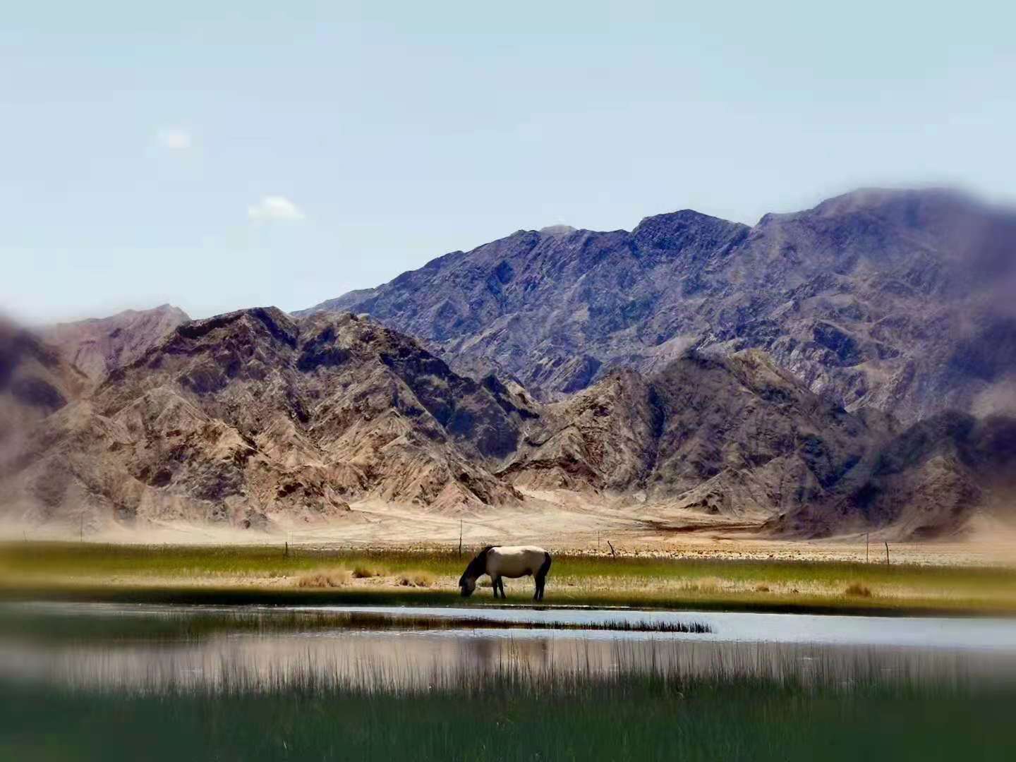 格尔木未来可以发展成大城市吗,格尔木市最新发展