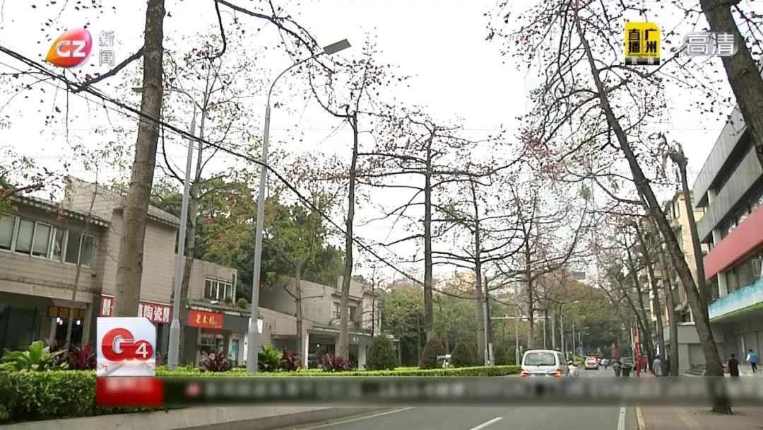 春天煲什么汤清热最好吃,夏季必不可少的广东靓汤清热润肺