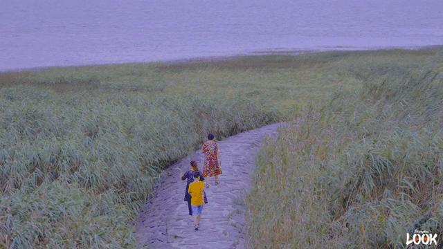 上海浦东被低估的板块,上海崇明区落后吗