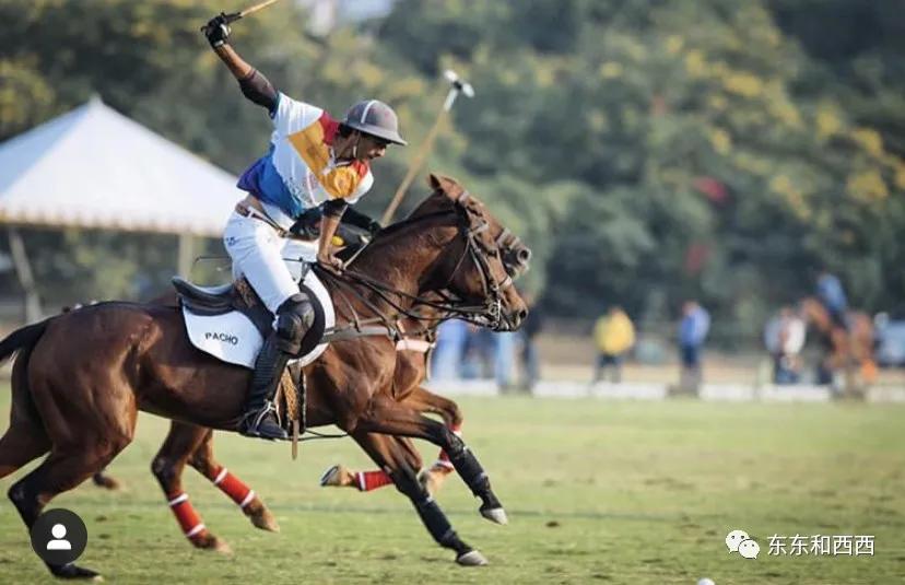 赌王何鸿燊的帅气照片,赌王何鸿燊年轻照帅