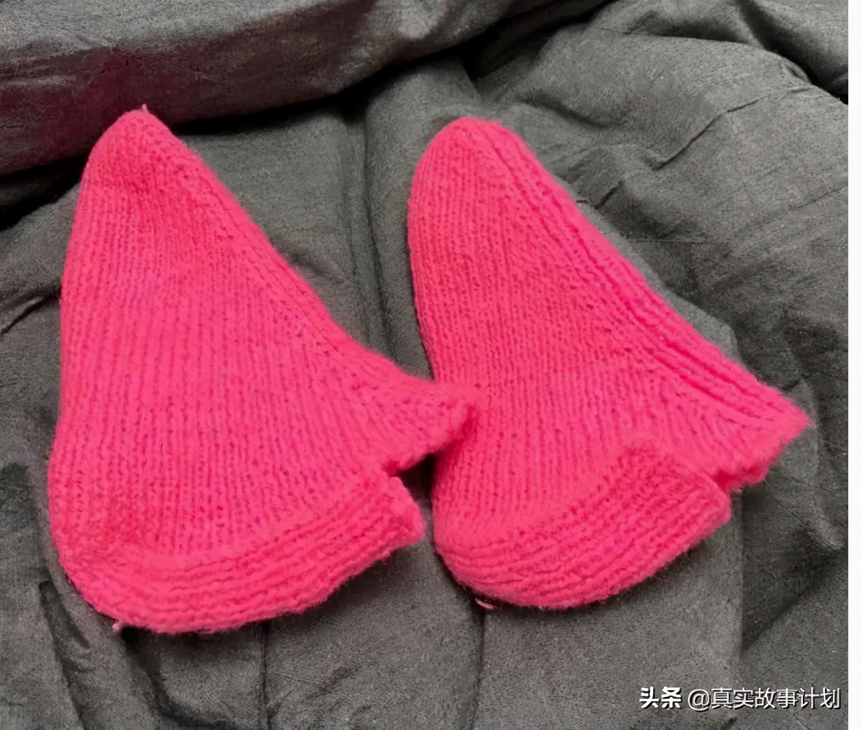 蛋壳爆雷后的房主与租客的故事,蛋壳爆雷中介模式