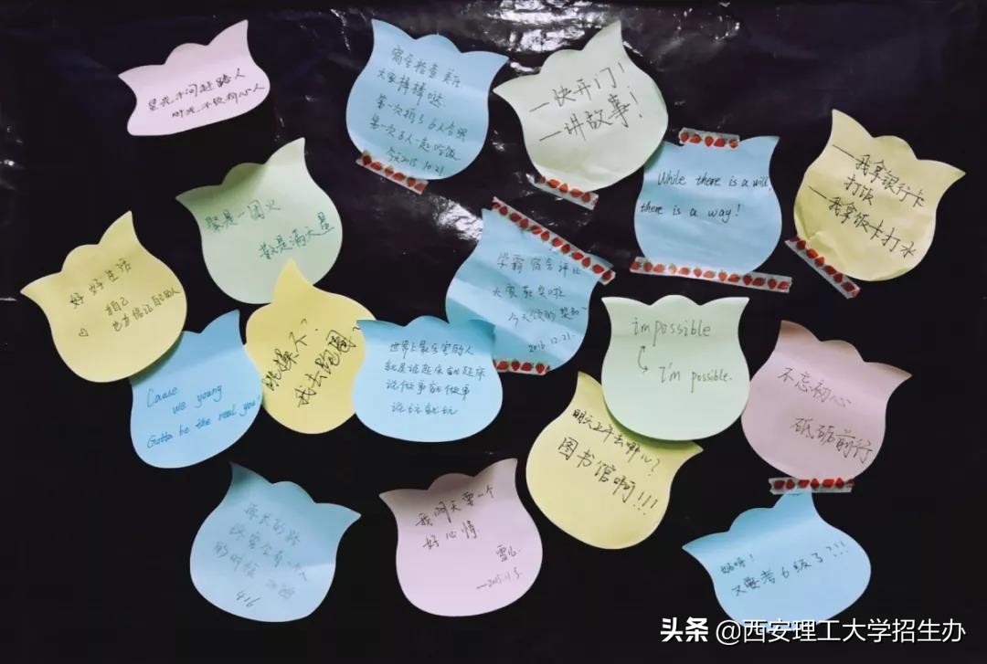 学霸宿舍4名女学生全保研985名校,陕西女神学霸近况