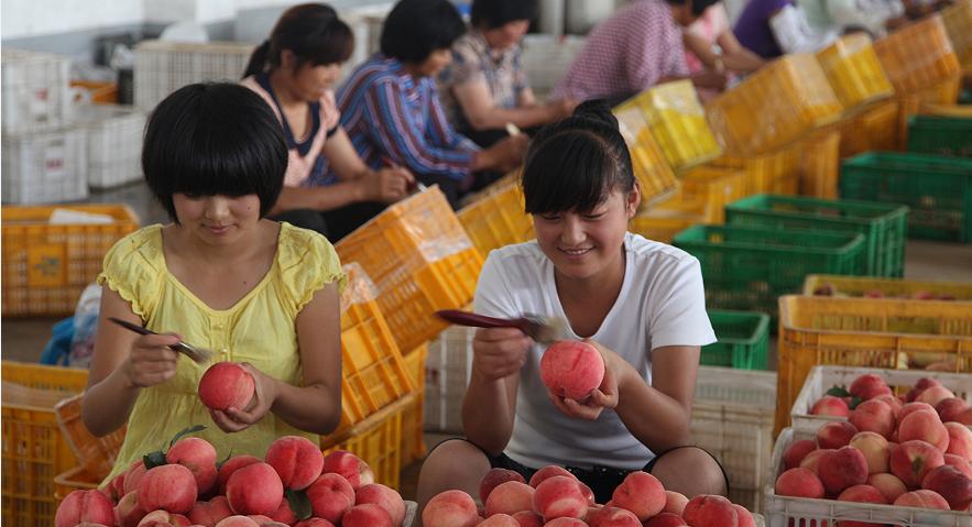 蒙阴探索乡村振兴新路径,乡村振兴澎湃