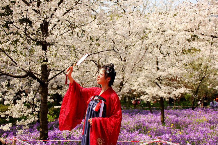 鑻遍泟褰掓潵妯辫姳鏈夌害,妯辫姳鐩涘紑鑻遍泟褰掓潵瀹屾暣瑙嗛