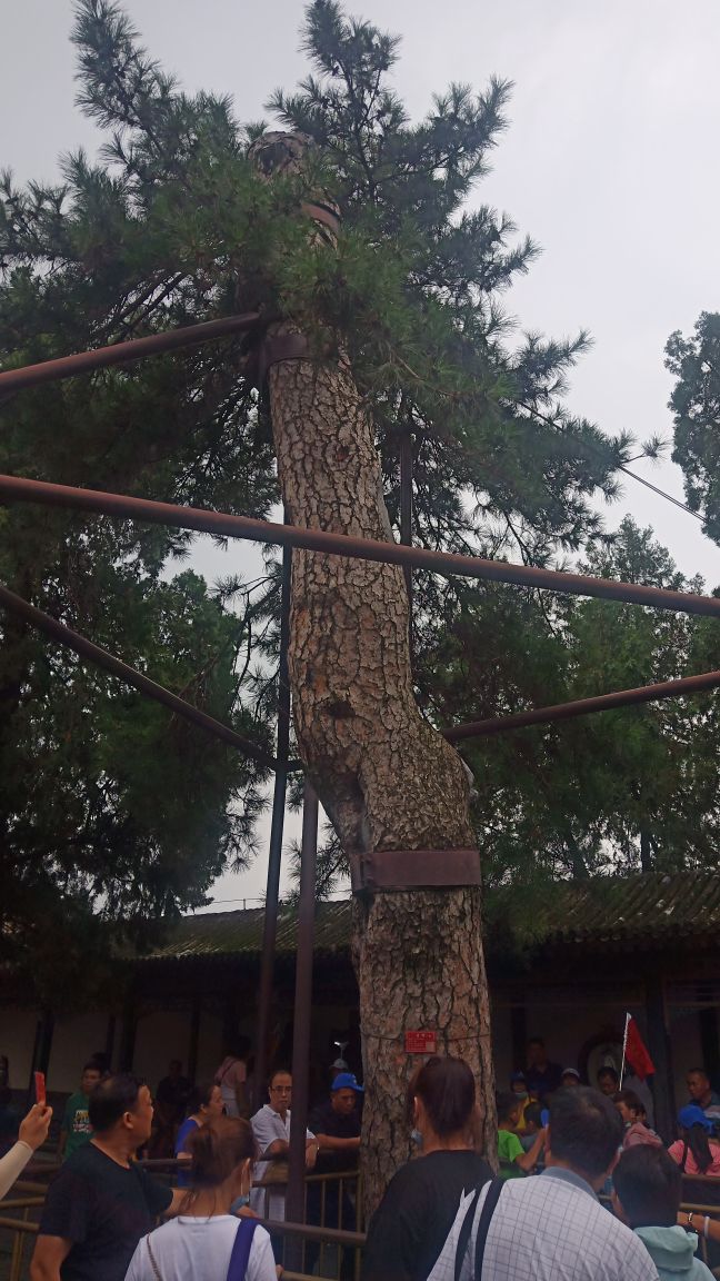 跟团北京三日游,北京旅游团三日游价格