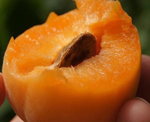 桃子杏子李子哪种水果最值得吃,桃杏李子的正确吃法