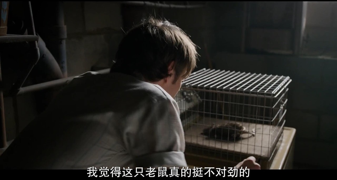 最新神剧回归,神剧回归一览表