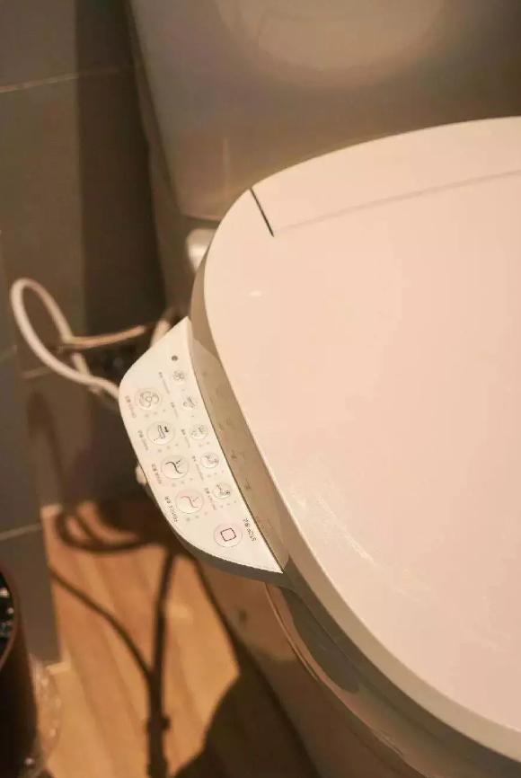 发现深圳红树林之美,发现小众风景点