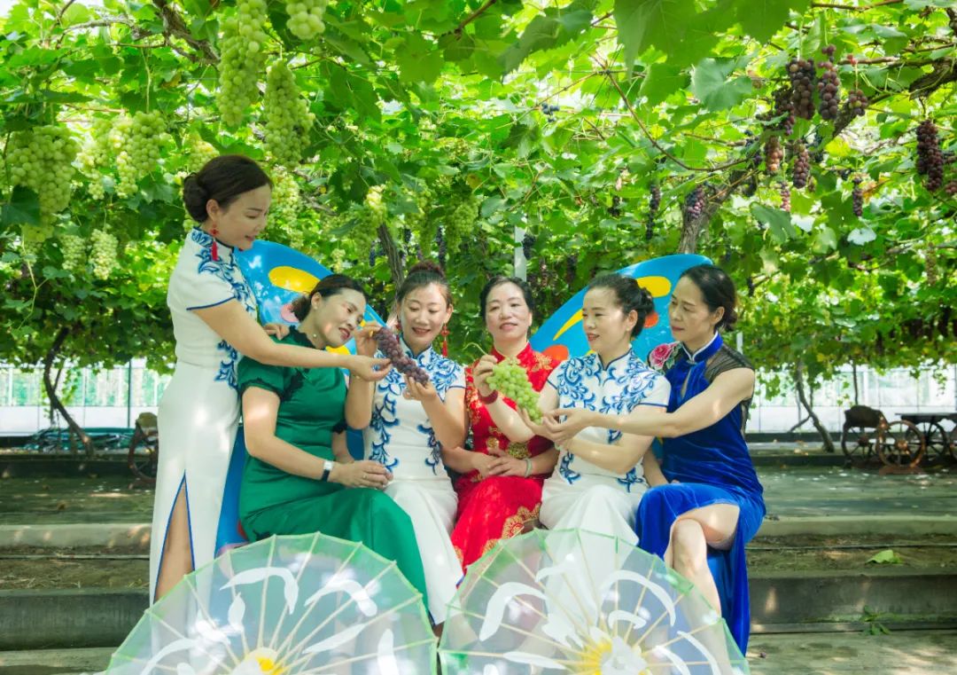 文旅资讯站|慈溪市第十六届葡萄节暨灾后复产现场会顺利举行