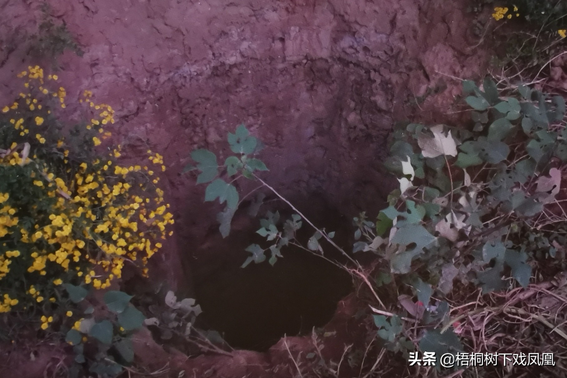 真实盗墓破案,盗墓细节太真实被抓获