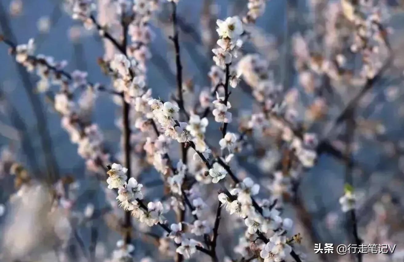 从化温泉野游,广州从化温泉别墅打卡之旅