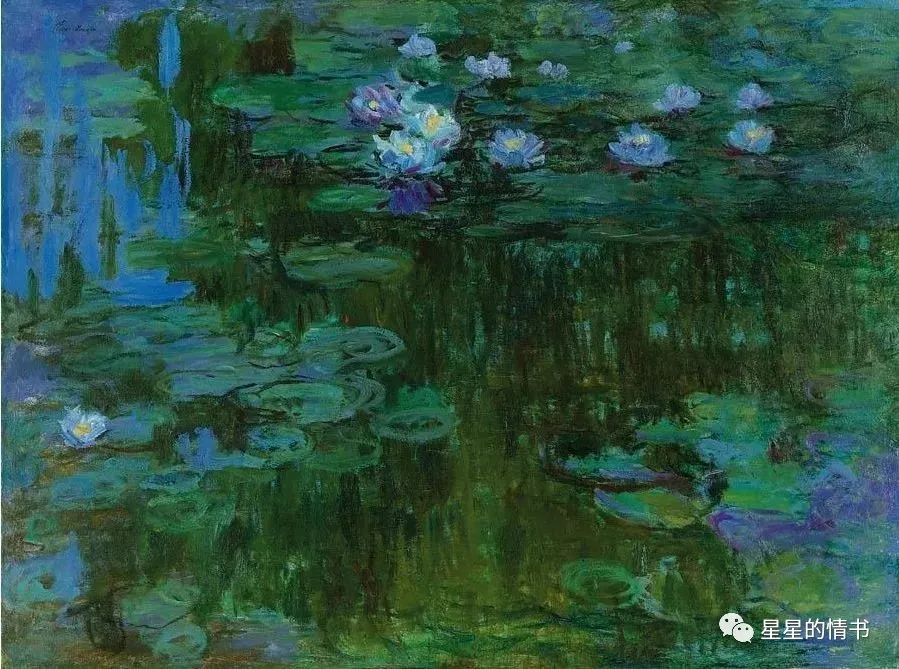 星星的情书2019年,星星的情书星座运势