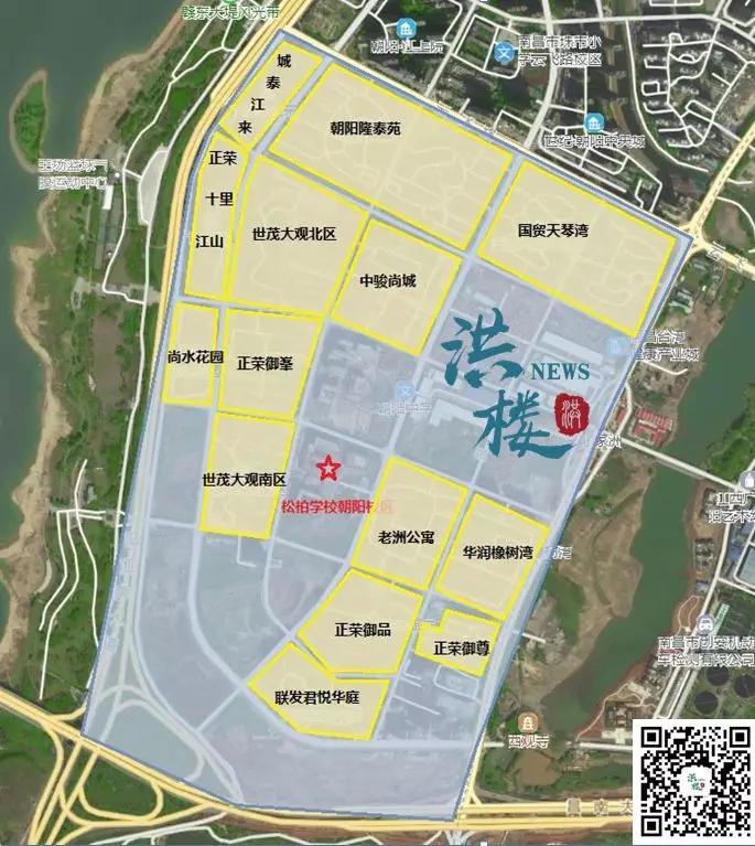 必看！朝阳+九龙湖学区全整理！黄金双区购房必备指南