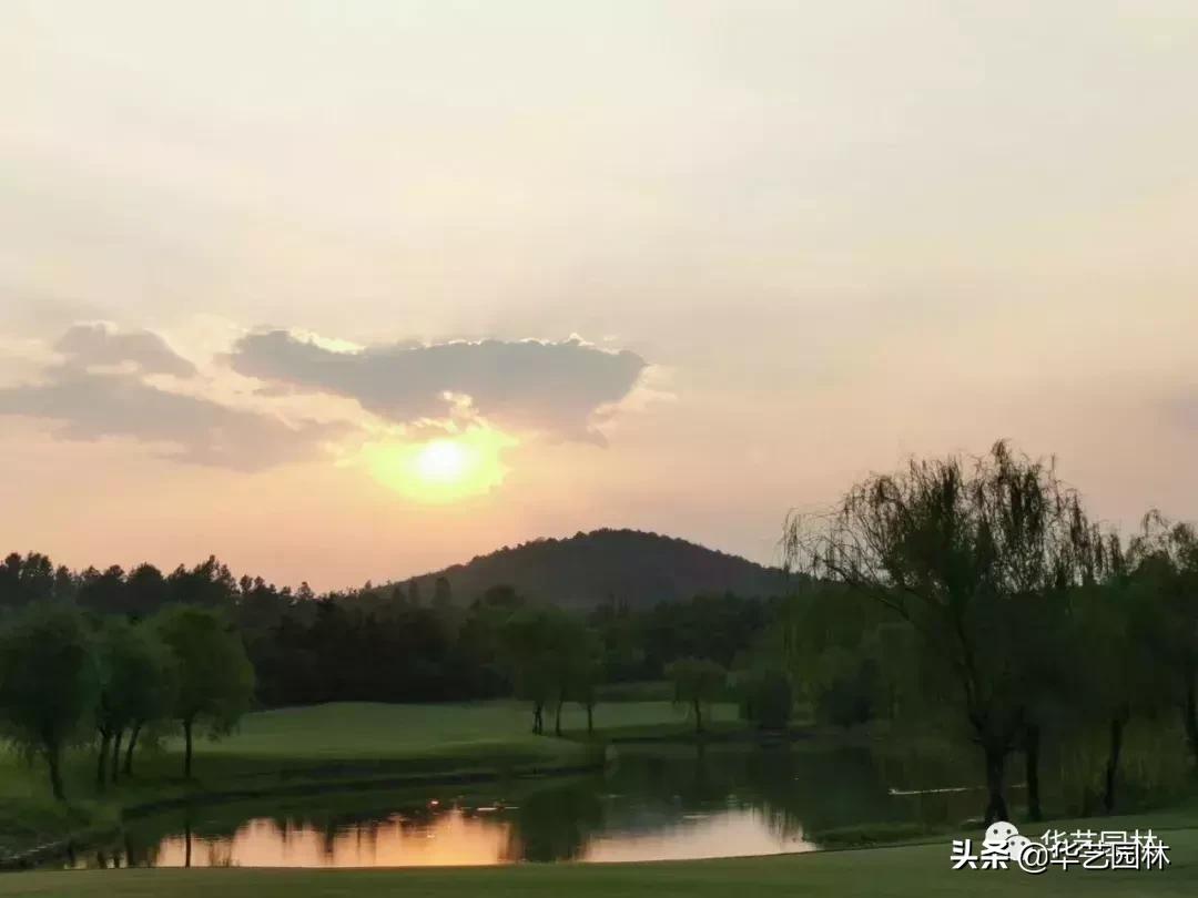 白露的诗句露从今夜白,白露至凉风起且看露从今夜白