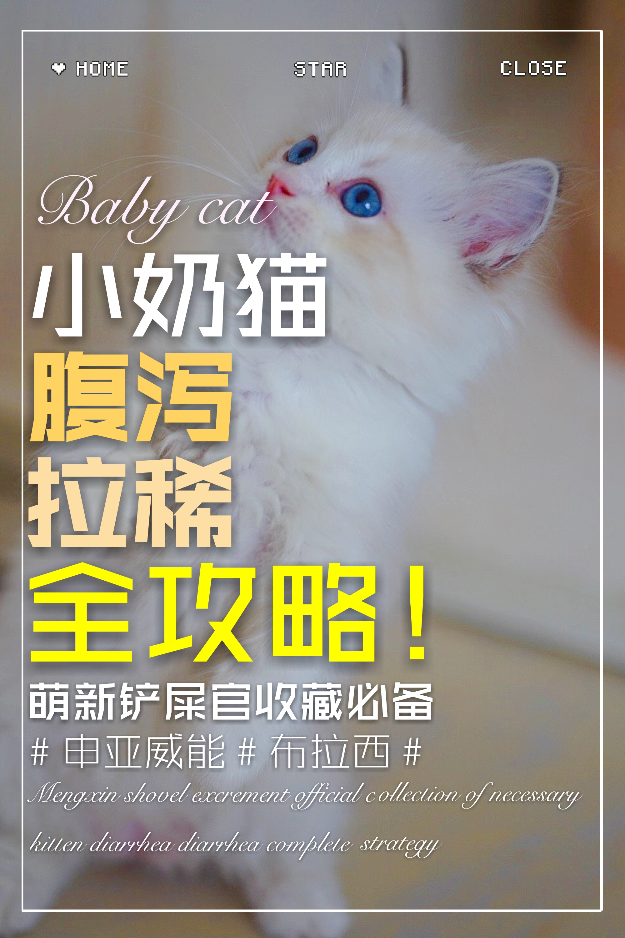 幼猫拉稀可以用氟哌酸吗,幼猫拉稀吃土霉素