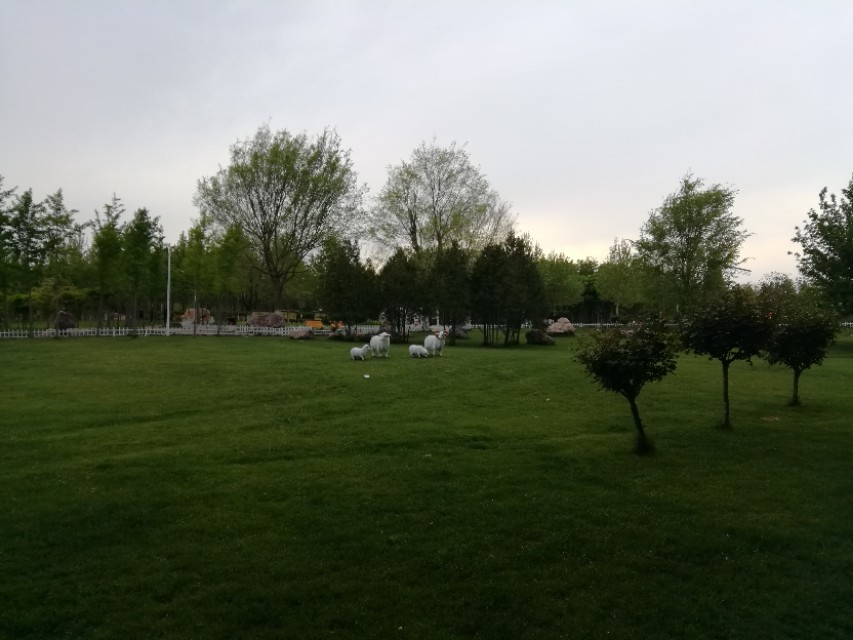 郑州树木园最新视频,郑州树木园现状