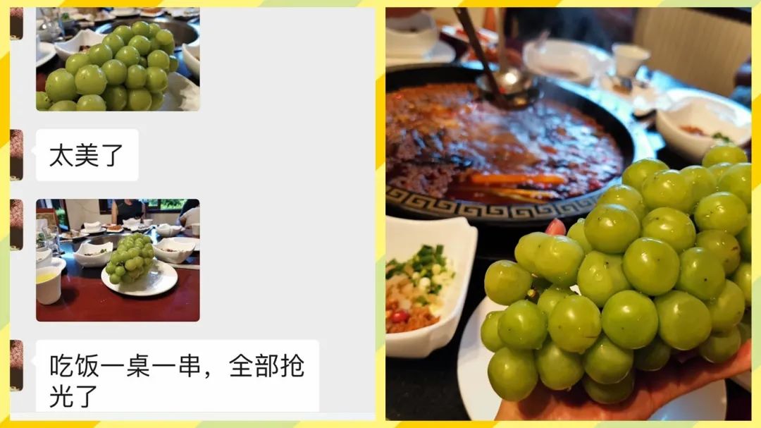 葡萄界的爱马仕晴王,葡萄界中的爱马仕跌落