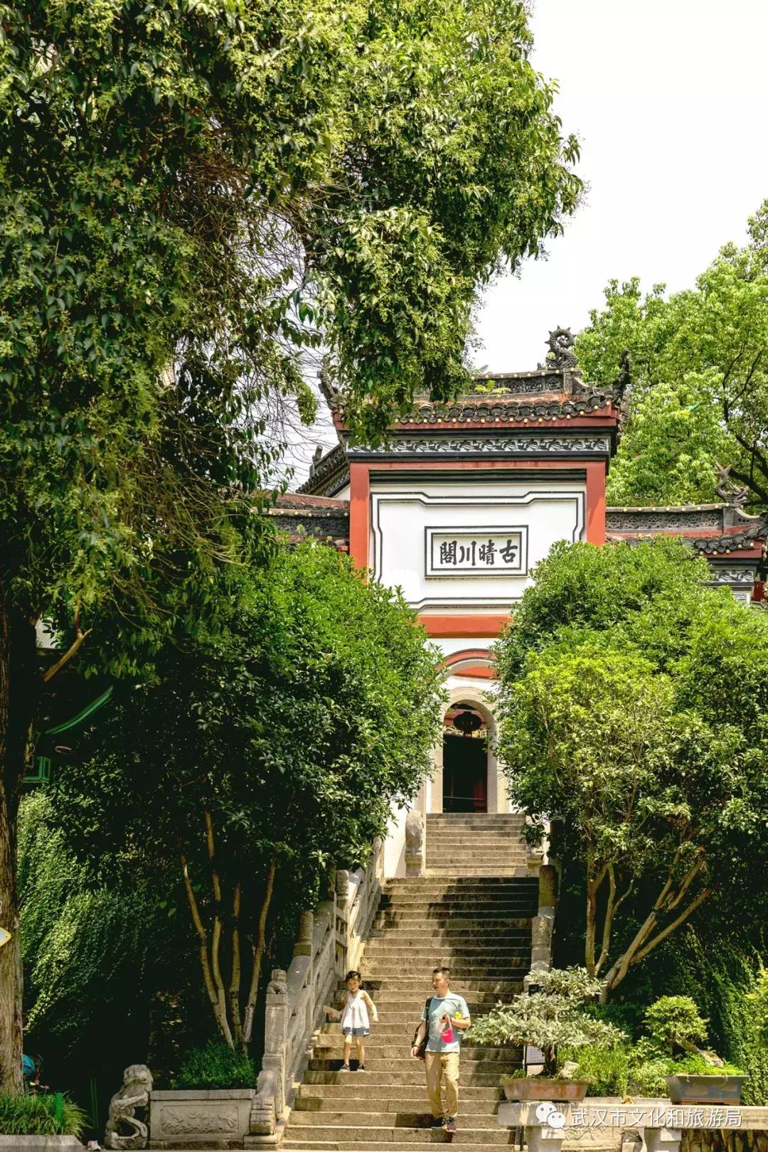 鹦鹉洲长江大桥桥下公园,汉阳鹦鹉洲长江大桥公园