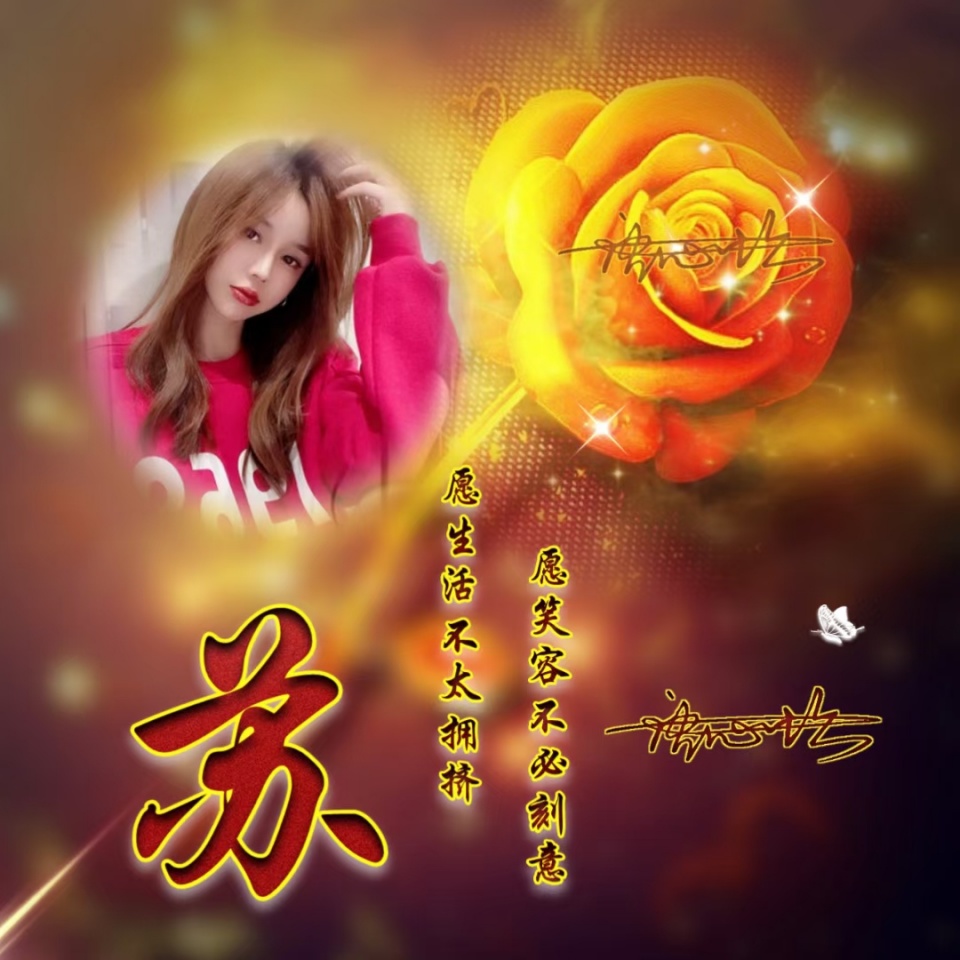 粉色玫瑰花头像照片唯美女生,姓氏微信头像超萌唯美黄