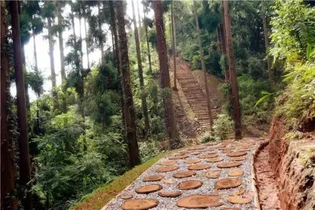 成都小众网红打卡地,成都最值得去的小众打卡地