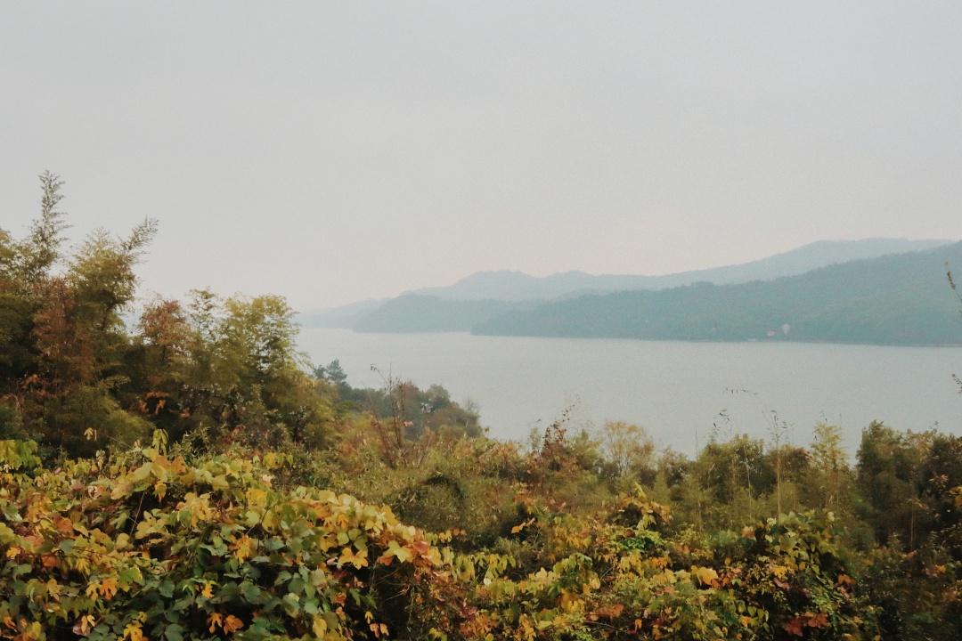 江浙沪隐居山林的度假村,江浙周边游天目湖