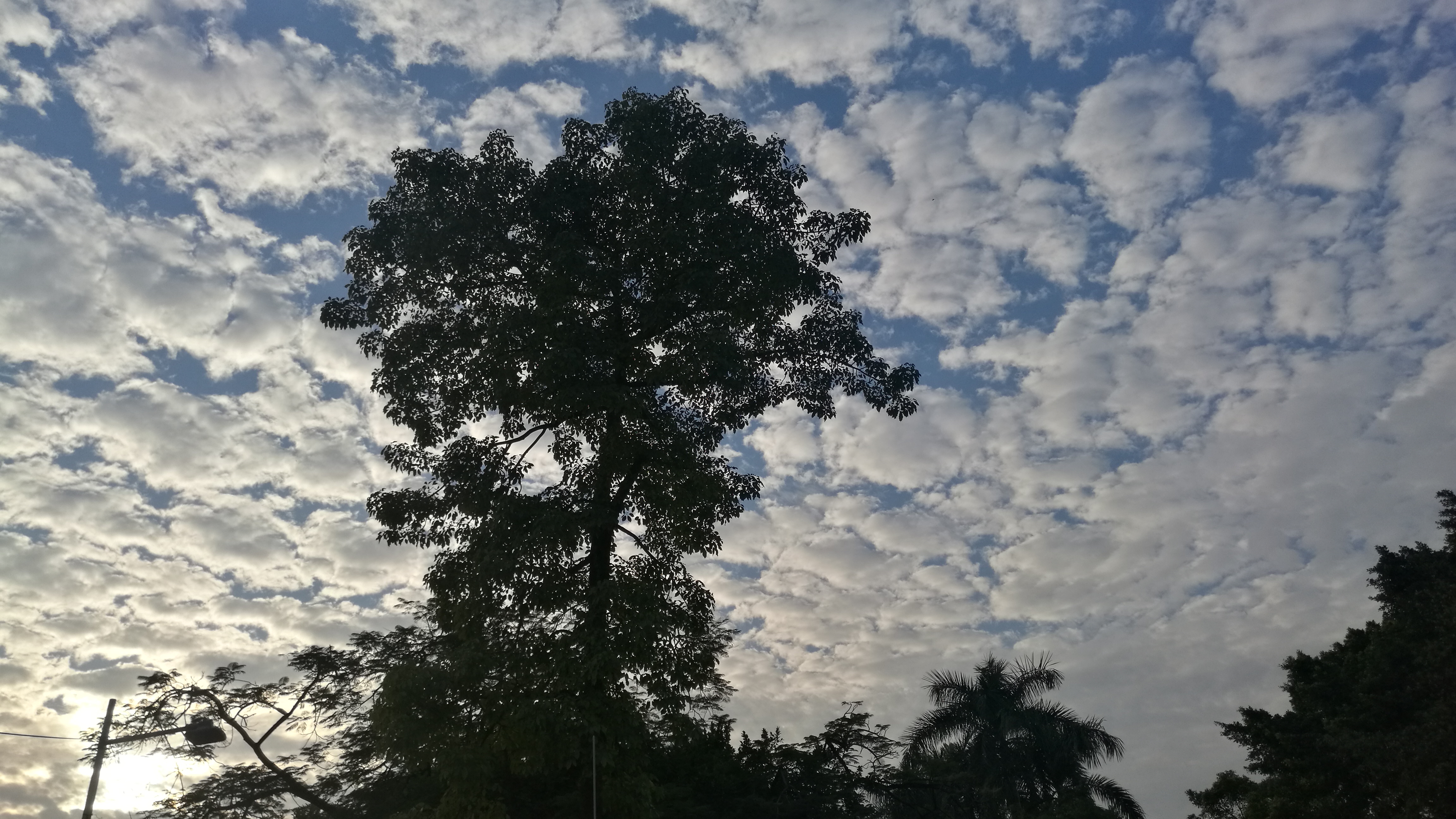 你找到你的那个词，甚至就是一个字了吗？