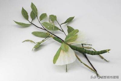 纸能干嘛？在她手上纸能变成活的