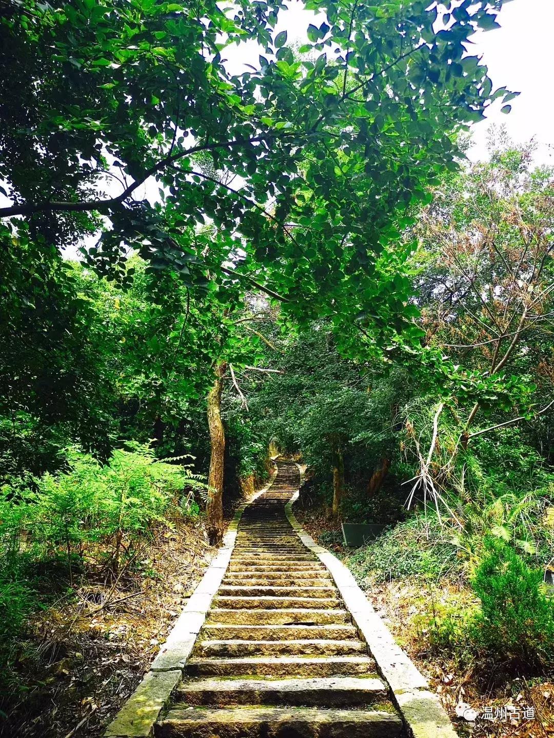千年古村平阳县鸣山村古城夜景,平阳昆阳鸣山古村落